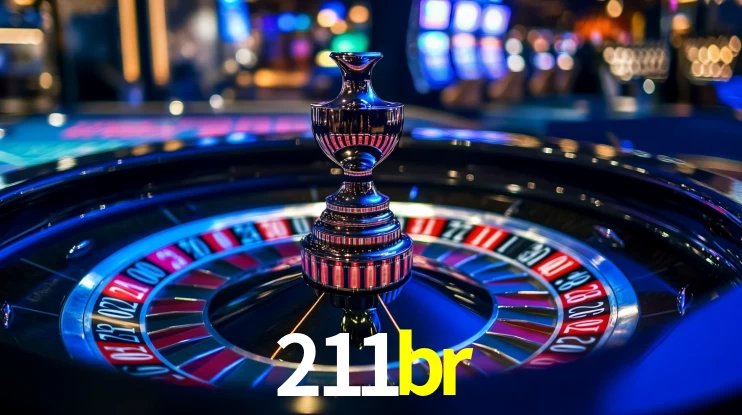 211br App Interface