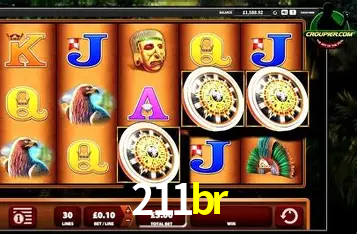 Apostas Esportivas na 211br: Um Guia Completo